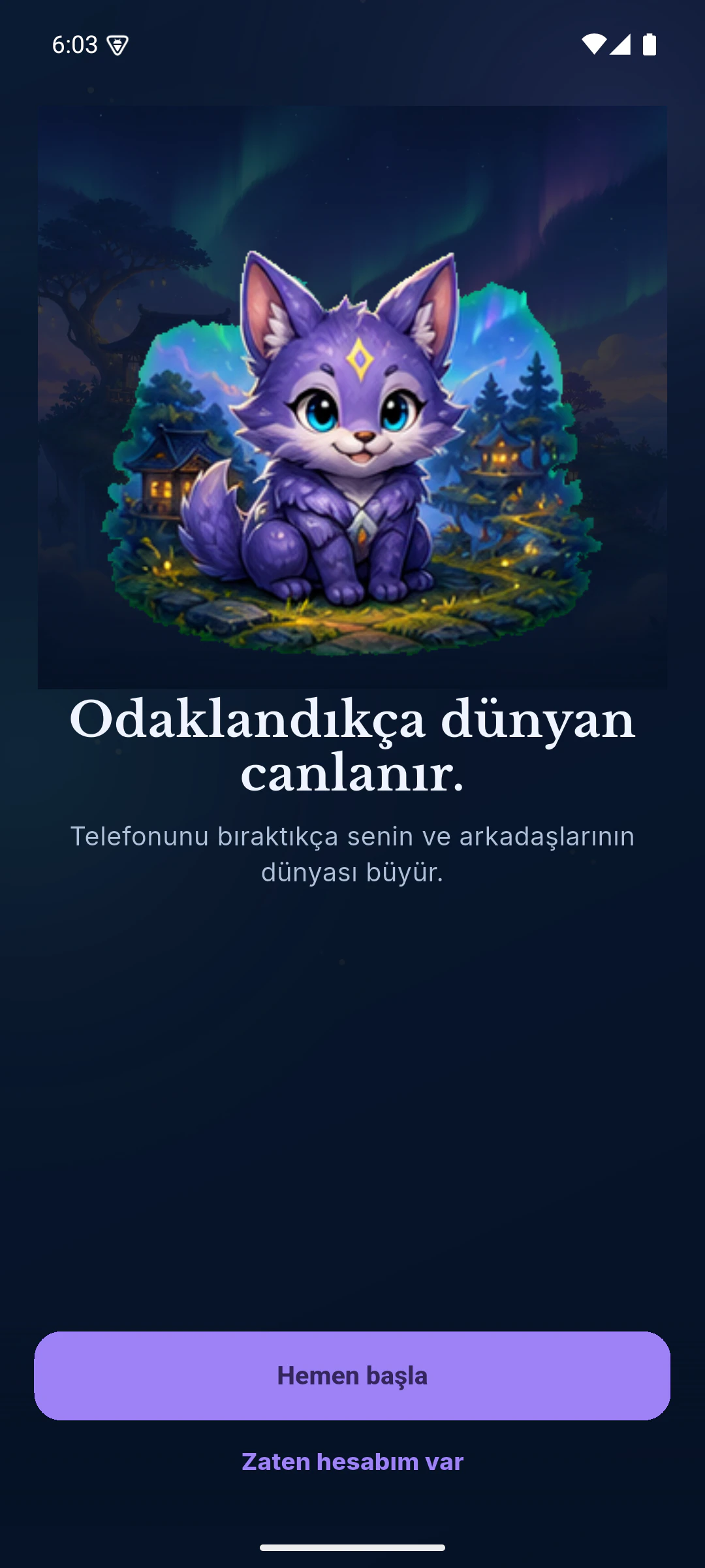 QuestPet screen 1
